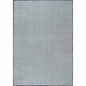 Kusový koberec Queens 1200 silver (Varianta: 200 x 290 cm)