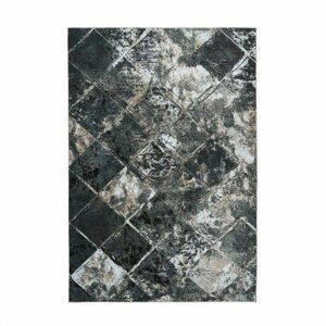 Kusový koberec Greta 805 pet (Varianta: 120 x 170 cm)