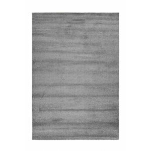 Kusový koberec Lima 400 grey (Varianta: 160 x 230 cm)
