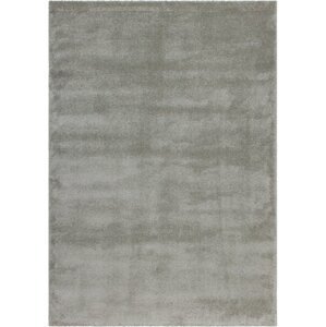 Kusový koberec Softtouch 700 pastel green (Varianta: 120 x 170 cm)