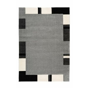 Kusový koberec Swing 110 silver (Varianta: 120 x 170 cm)