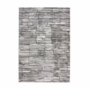 Kusový koberec Trendy 404 silver (Varianta: 120 x 170 cm)