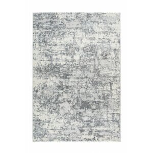 Kusový koberec Paris 503 silver (Varianta: 120 x 170 cm)
