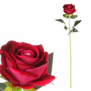 Růže, barva růžová, samet. KN6110 PINK