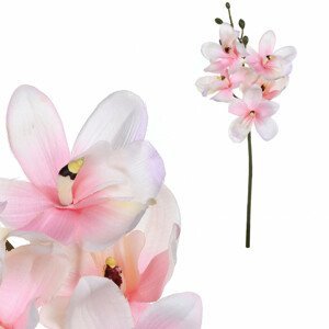 Orchidej, růžová barva. UKK056 PINK