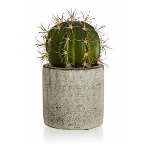 Kaktus v betonovém květináči 9,5 x 16 cm, zelený