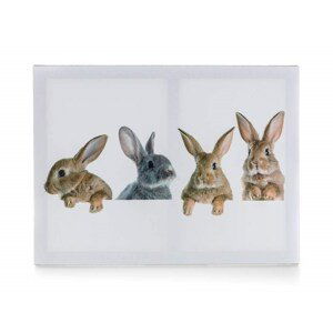 Obraz 4x RABBIT 40 x 30 x 2 cm