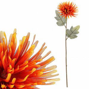 Chryzantéma, oranžová barva. NL0144 OR