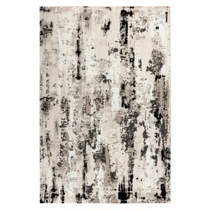 Kusový koberec Phoenix 124 grey (Varianta: 120 x 170 cm)