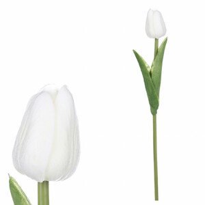 Tulipán, barva krémová. Květina umělá pěnová. KN5112 WT, sada 24 ks