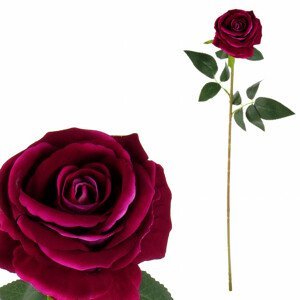 Růže, barva fialová, samet. KN6110 PUR