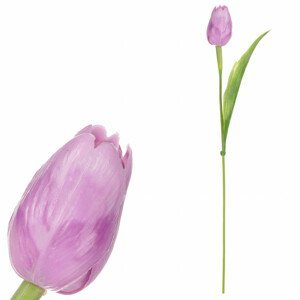 Tulipán plastový ve fialové barvě. Cena za 1ks. Ve svazku 12ks. SG60104 PUR2, sada 24 ks