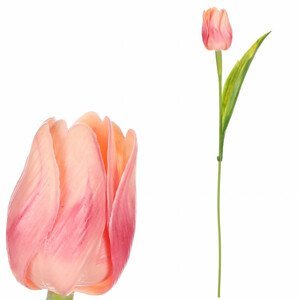 Tulipán plastový v meruňkové barvě. Cena za 1ks. Ve svazku 12ks. SG60104 APPR, sada 36 ks