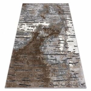 Moderní koberec COZY 8876 Rio - Strukturální, dvě úrovně rouna, hnědý (Velikost: 120x170 cm)