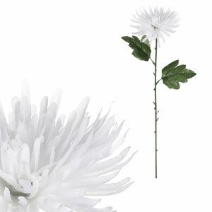 Chryzantéma, barva bílá. KN6159 WT, sada 24 ks