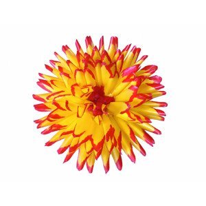 Květ voskový JIŘINA KAKTUS 15cm