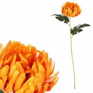 Chryzantéma, barva oranžová. KN6157 OR, sada 24 ks