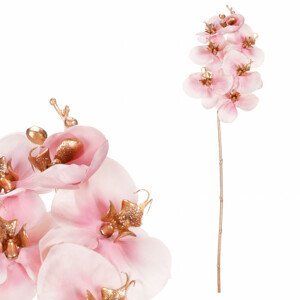 Orchidej, barva růžová. KUC2603 PINK, sada 6 ks