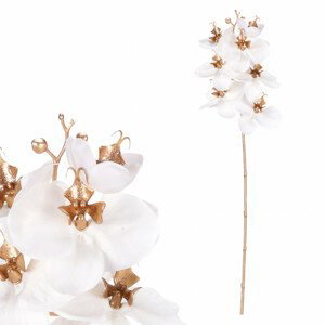Orchidej, barva bílá. KUC2603 WT, sada 6 ks
