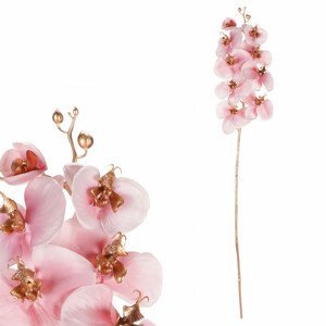 Orchidej, barva růžová. KUC2604 PINK, sada 4 ks