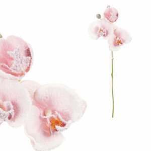 Orchidej, barva růžová. KUC2606 PINK, sada 12 ks