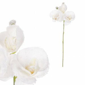 Orchidej, barva bílá. KUC2606 WT, sada 12 ks