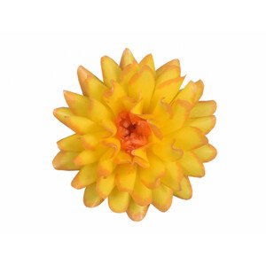 Květ voskový JIŘINA DEKOR 13cm