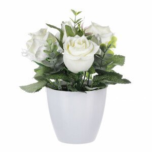 Růžičky v plastovém bílém obalu, barva krémová. SG7335 CRM, sada 6 ks