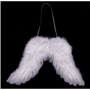 Andělská křídla z peří , barva bílá AK1907-WH