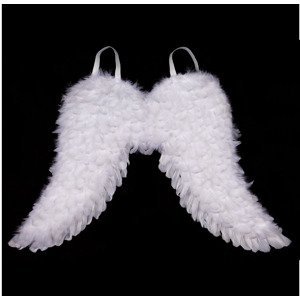 Andělská křídla z peří , barva bílá AK1908-WH