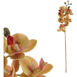 Orchidej - barva tmavě růžová. KUM3417-PINK-DK
