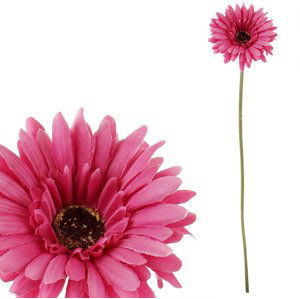 Gerbera, barva tmavě růžová. KUM3418-PINK-DK