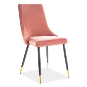 Jídelní čalouněná židle NOPI velvet starorůžová/černá/zlatá