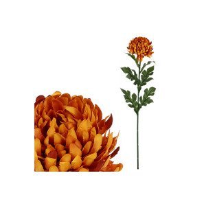 Chryzantéma velkokvětá, jednohlavá, barva tmavě oranžová. KU4345, sada 12 ks
