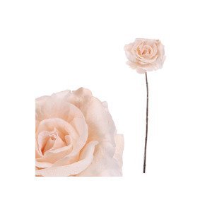 Růže v krémové barvě, s glitry. NL0137-CRM