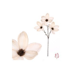 Magnolie v krémové barvě, s glitry. NL0138-CRM, sada 6 ks