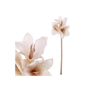 Amarylis, umělá květina, barva krémová . UKK273-CRM
