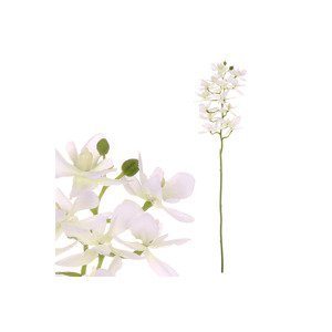 Orchidea drobnokvětá, bílá barva. UKK313-WH
