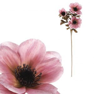 Anemónka, 3-květá, starorůžová barva. KUL004 PINK-OLD, sada 6 ks
