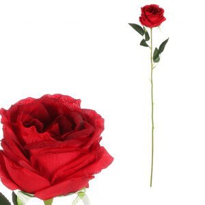 Růže, barva červená. KN7057 RED, sada 6 ks