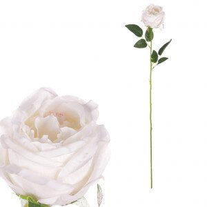 Růže, barva bílá. KN7057 WT, sada 6 ks