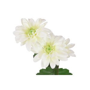 Kopretina, barva bílá. Květina umělá. KT6954, sada 6 ks