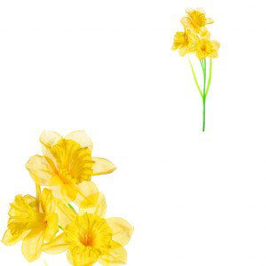 Narcisky, 3-květy, žlutá barva. SG7362 YEL, sada 12 ks