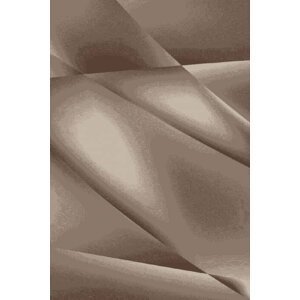 Kusový koberec Miami 6590 brown (Varianta: 240 x 340 cm)