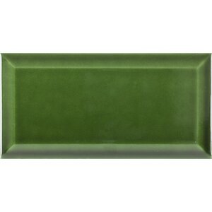 VICTORIAN obklad Green 10x20 (bal=1m2)