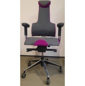 PROWORK Terapeutická židle THERAPIA ENERGY XL PRO 4110 AX62 tmavě šedá/ AX76 světle fialová vzorkový kus PRAHA