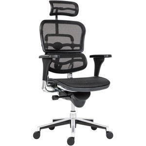 ANTARES kancelářská židle Ergohuman NET