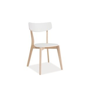Bílá dřevěná židle TIBI