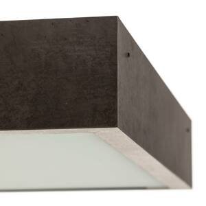 Euluna Stropní světlo Tromsö, 50x50 cm, betonově šedá