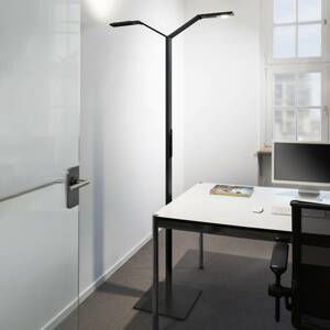 Luctra Luctra Floor Twin Linear LED stojací lampa černá